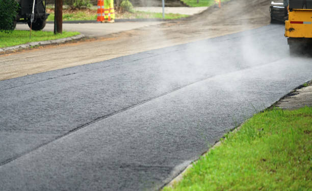 Best Custom Driveway Pavers  in Forest Heights, TX