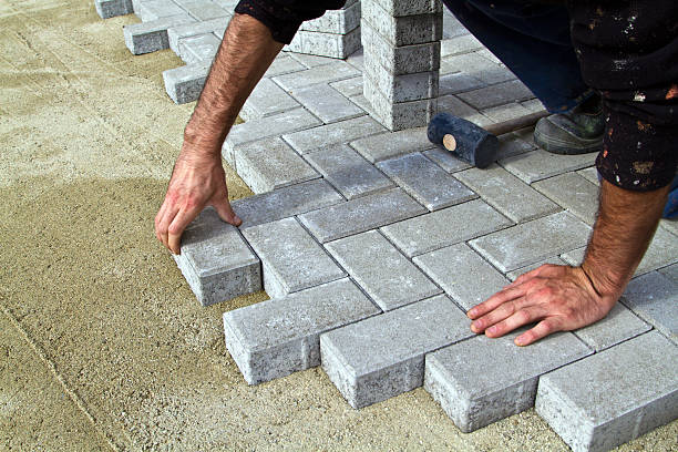 Best Residential Paver Driveway  in Forest Heights, TX