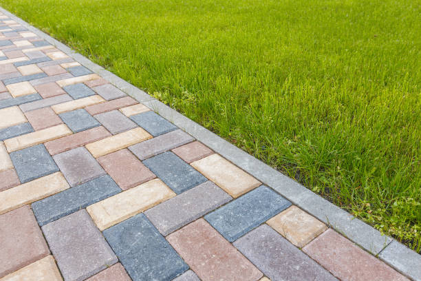 Best Driveway Pavers Near Me  in Forest Heights, TX