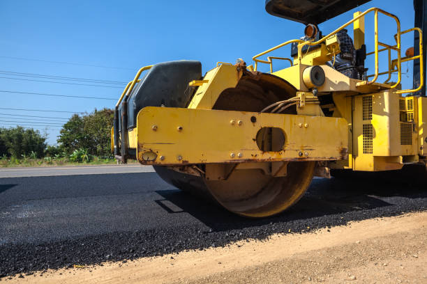 Best Decorative Driveway Pavers  in Forest Heights, TX